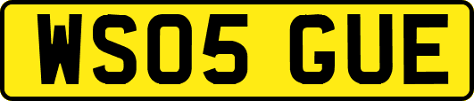 WS05GUE