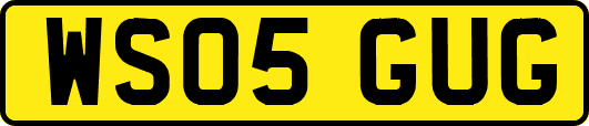 WS05GUG