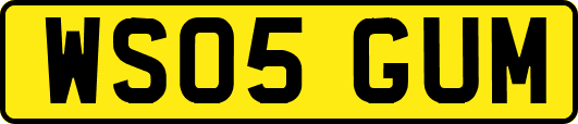 WS05GUM