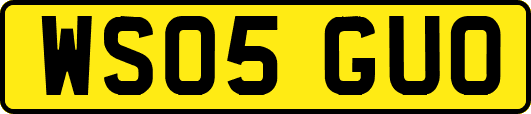 WS05GUO