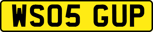 WS05GUP