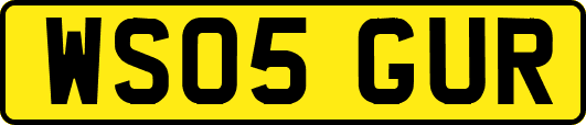 WS05GUR