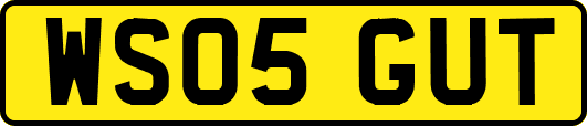 WS05GUT