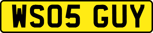 WS05GUY