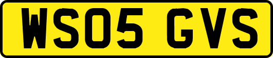 WS05GVS