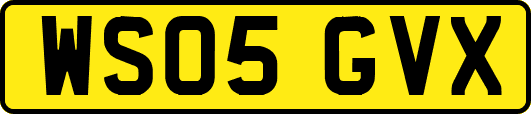 WS05GVX