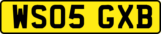 WS05GXB