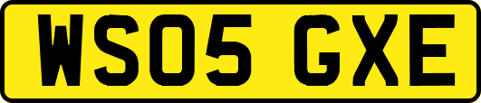WS05GXE