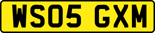 WS05GXM