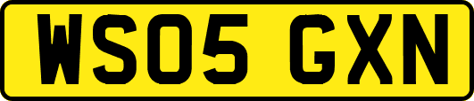 WS05GXN