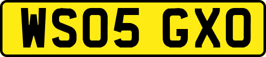 WS05GXO