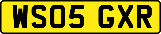 WS05GXR