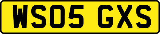 WS05GXS