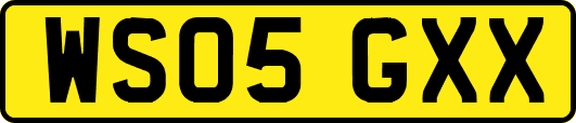WS05GXX