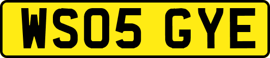WS05GYE