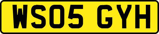 WS05GYH