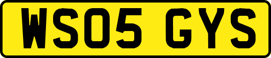 WS05GYS