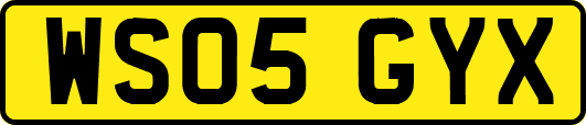 WS05GYX