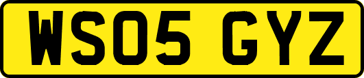WS05GYZ