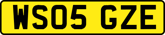WS05GZE