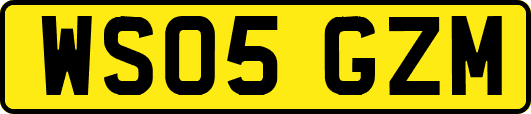 WS05GZM