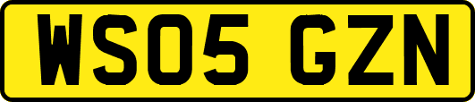WS05GZN