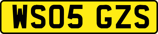 WS05GZS