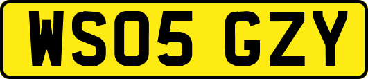 WS05GZY