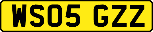 WS05GZZ