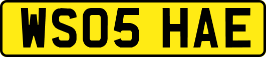 WS05HAE
