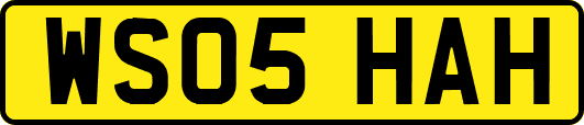 WS05HAH