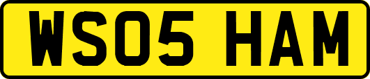 WS05HAM