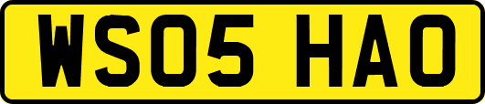 WS05HAO