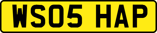WS05HAP
