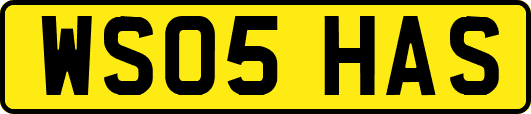 WS05HAS