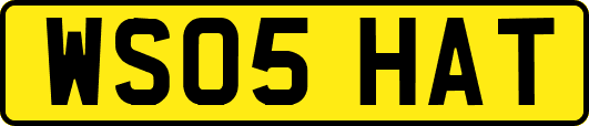 WS05HAT