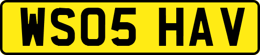 WS05HAV