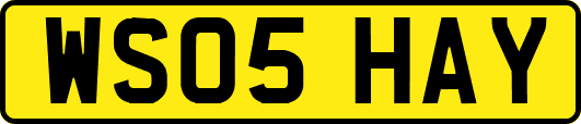 WS05HAY