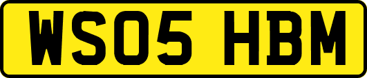 WS05HBM