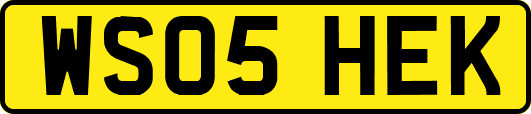 WS05HEK