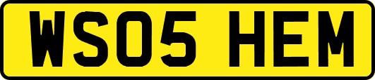 WS05HEM