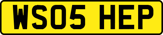 WS05HEP