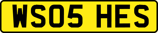 WS05HES