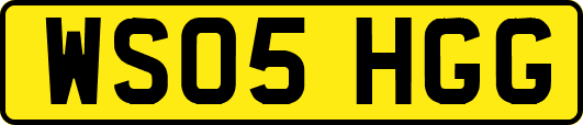WS05HGG
