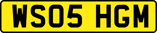 WS05HGM