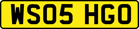 WS05HGO