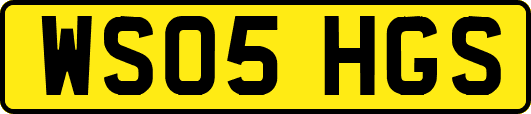 WS05HGS