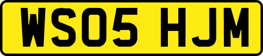 WS05HJM