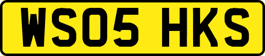 WS05HKS