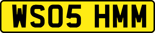 WS05HMM